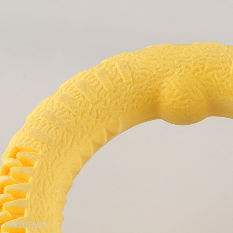 Hot Selling Dog Chew Toy Interactive Dog Training Toy