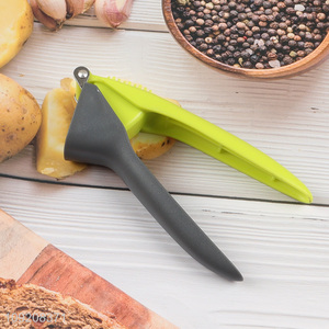 Top products professional kitchen gadget garlic tool garlic press for sale