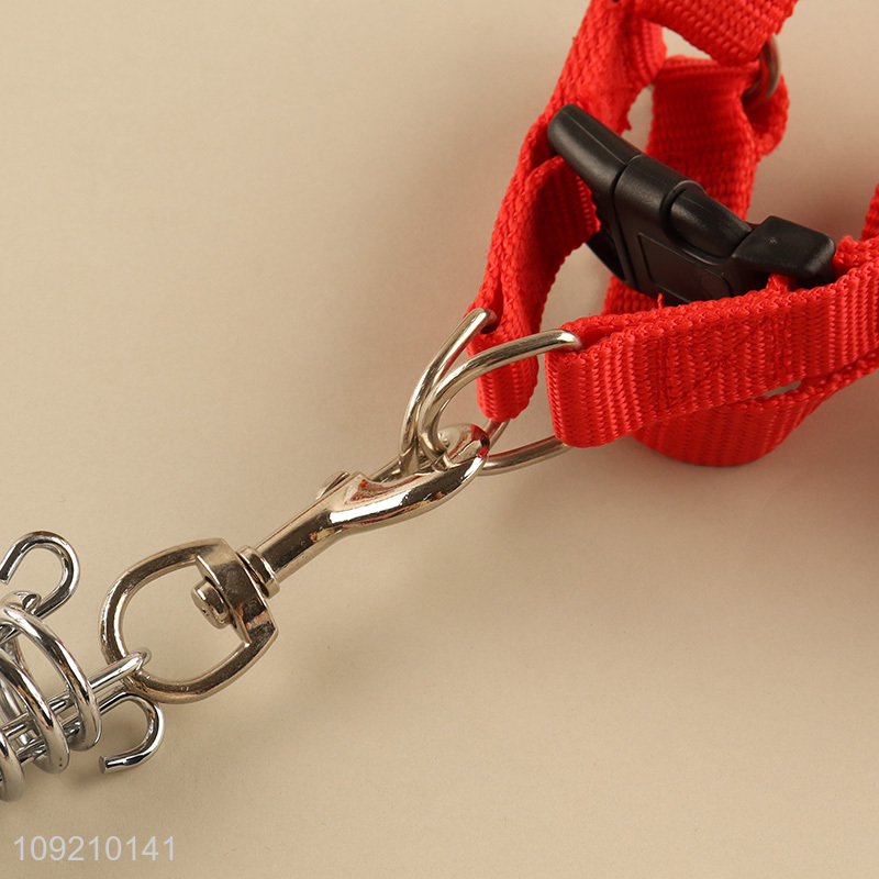 New Arrival Dog Harness and Collar Set for Training & Walking