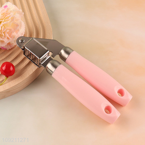 Hot Selling Stainless Steel Garlic Press Professional Garlic Mincer Tool