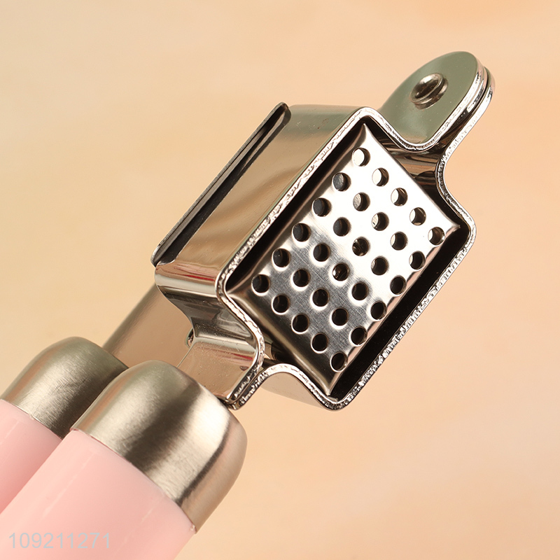 Hot Selling Stainless Steel Garlic Press Professional Garlic Mincer Tool