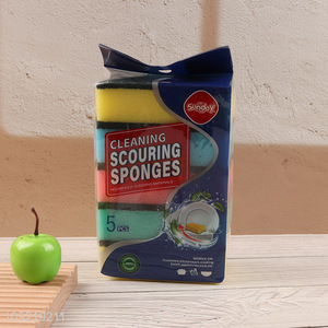 China Imports 5PCS Dishwashing Sponges Kitchen Sink Cleaning Sponges
