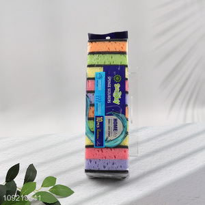 China Product 10PCS Kitchen Dishes Cleaning Sponges for Washing Pots