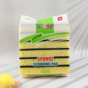 New Product 12PCS Kitchen Scrub Sponges Heavy Duty Dish Cleaning Sponges