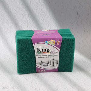 Good Quality 10PCS Non-Scratch Scouring Pads for Oven Barbecue Grill