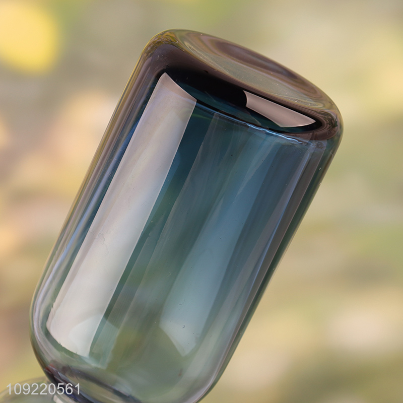 Best selling glass flower vase hydroponic vase living room decor