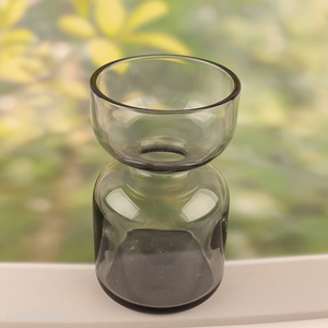 China wholesale glass living room decor flower vase hydroponic vase