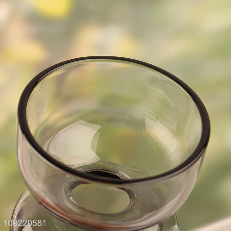 China wholesale glass living room decor flower vase hydroponic vase