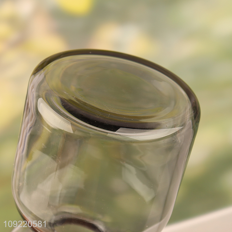 China wholesale glass living room decor flower vase hydroponic vase