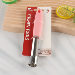Top products stainless steel fruits corer for home kitchen gadget