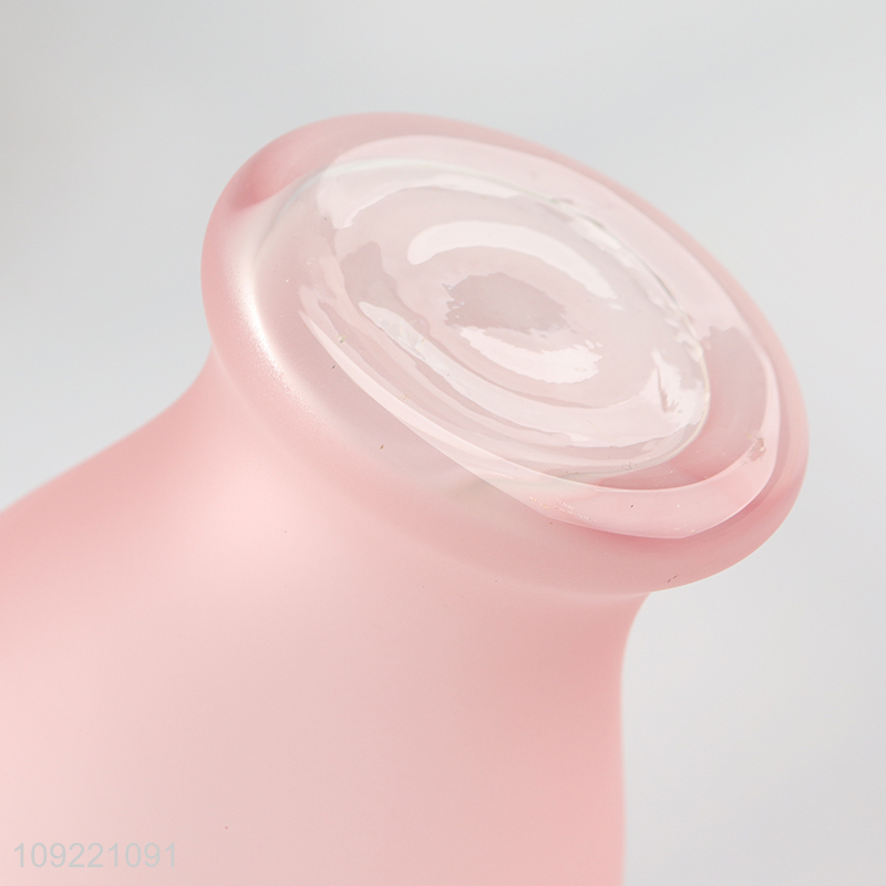 Good selling tabletop decor home glass flower vase hydroponic vase