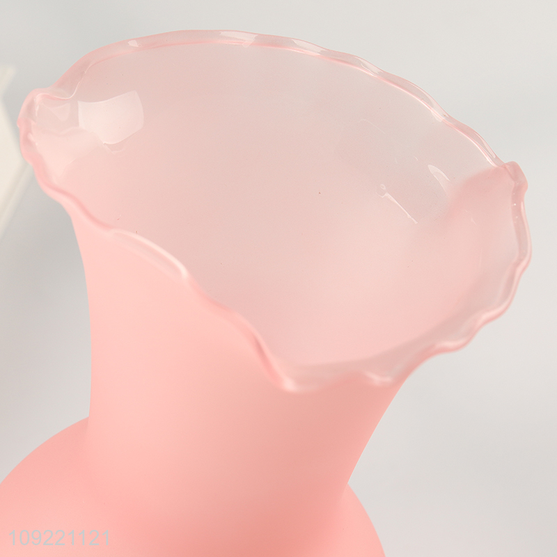 Top quality modern style glass flower vase hydroponic vase for decoration