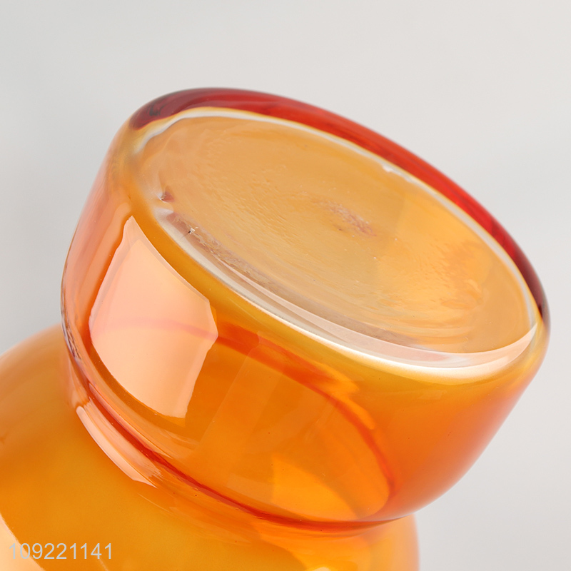 Good selling indoor home decor glass flower vase hydroponic vase wholesale