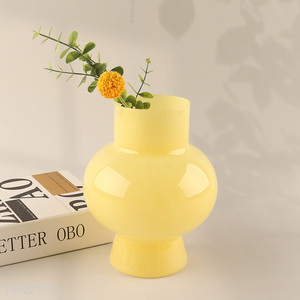 Most popular living room decor flower vase hydroponic vase for indoor