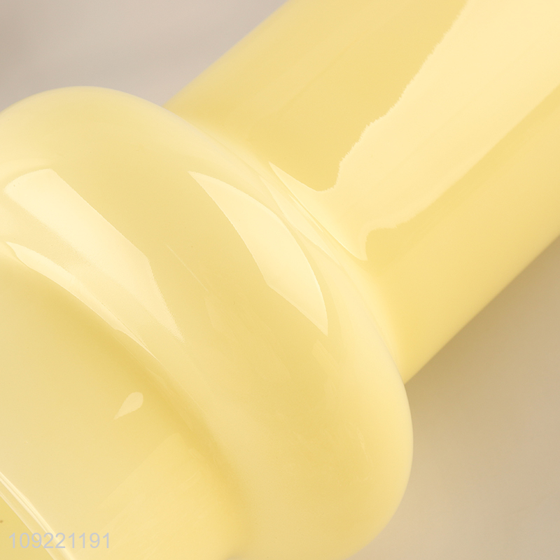 Top quality home decor living room glass flower vase hydroponic vase