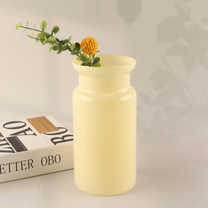 Hot selling indoor decor glass flower vase hydroponic vase wholesale