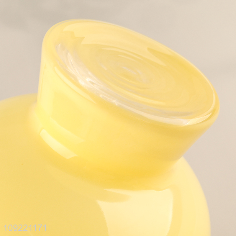 Most popular living room decor flower vase hydroponic vase for indoor