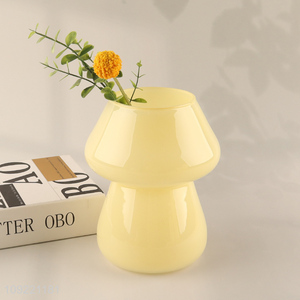 Best quality home indoor decor glass flower vase hydroponic vase