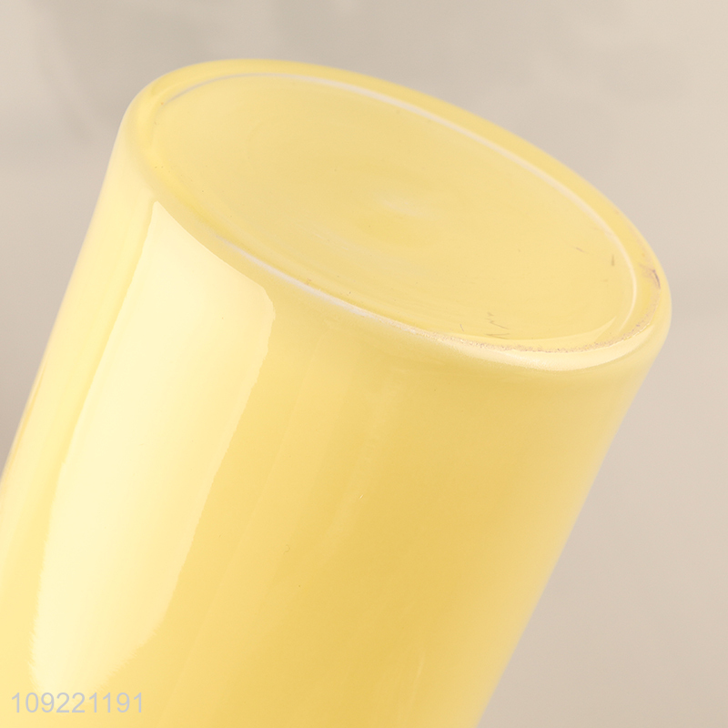 Top quality home decor living room glass flower vase hydroponic vase