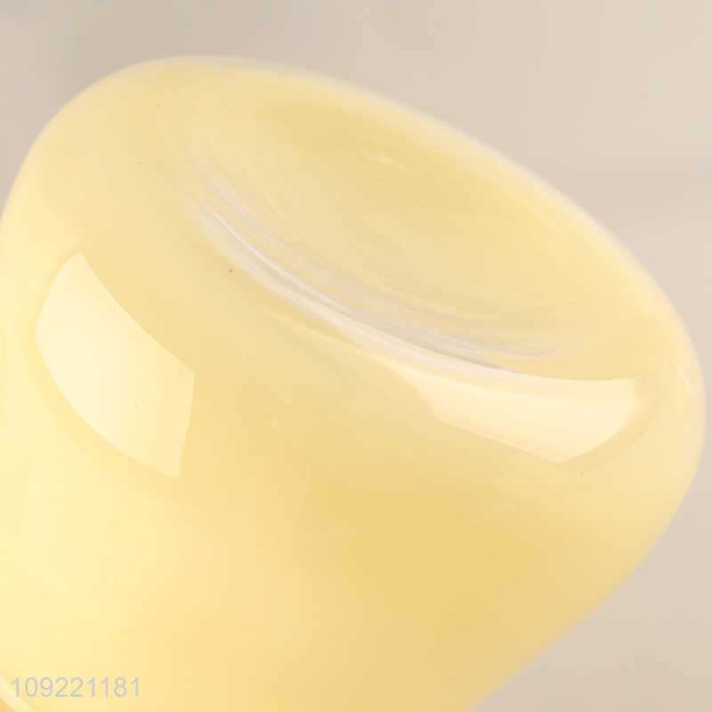 Best quality home indoor decor glass flower vase hydroponic vase