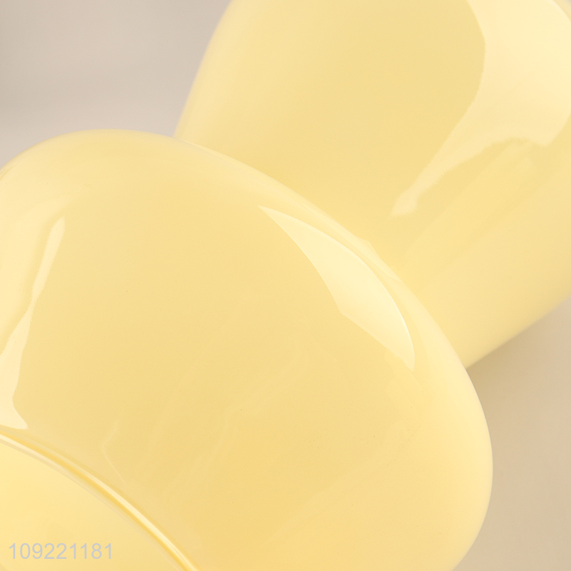 Best quality home indoor decor glass flower vase hydroponic vase