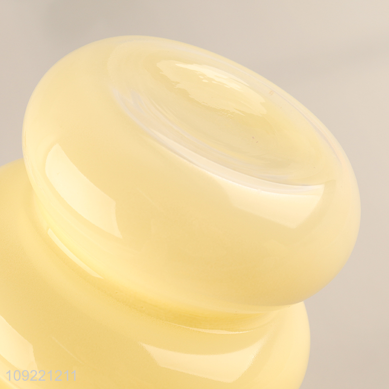 Hot products living room decor glass flower vase hydroponic vase for sale