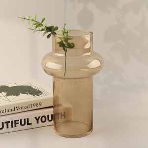 China wholesale modern style indoor decor glass flower vase hydroponic vase