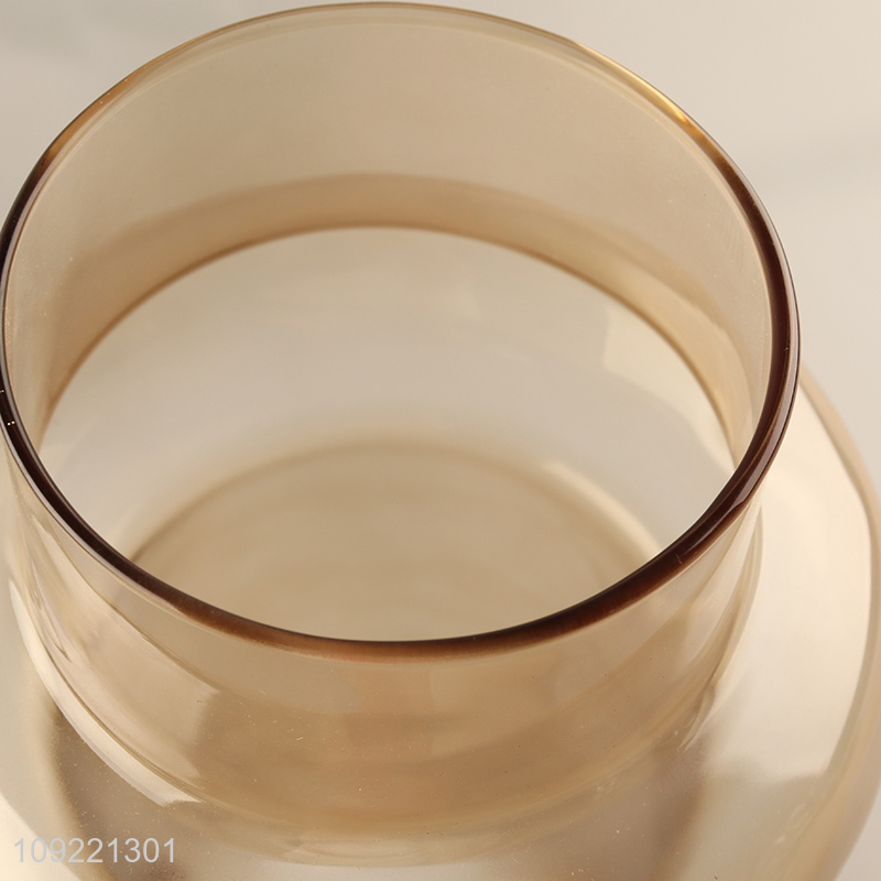 China wholesale modern style indoor decor glass flower vase hydroponic vase