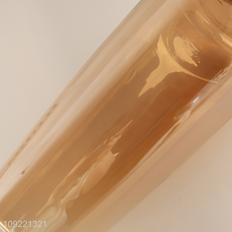 New arrival living room decor indoor glass flower vase hydroponic vase