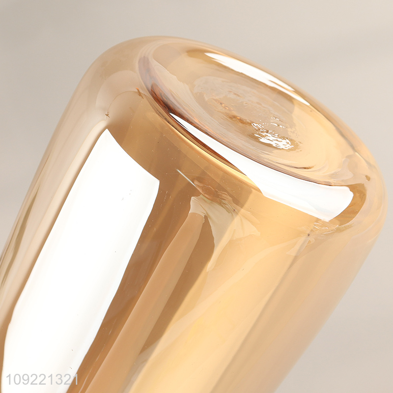 New arrival living room decor indoor glass flower vase hydroponic vase