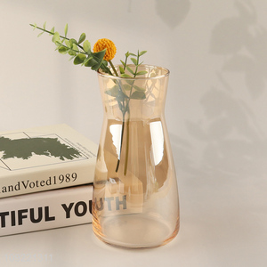 Hot items glass desktop decor flower vase hydroponic vase plants vase