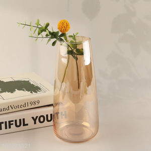 New arrival living room decor indoor glass flower vase hydroponic vase
