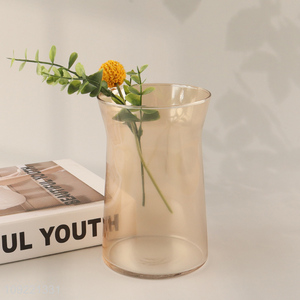 Popular products glass flower vase hydroponic vase indoor home decor vase