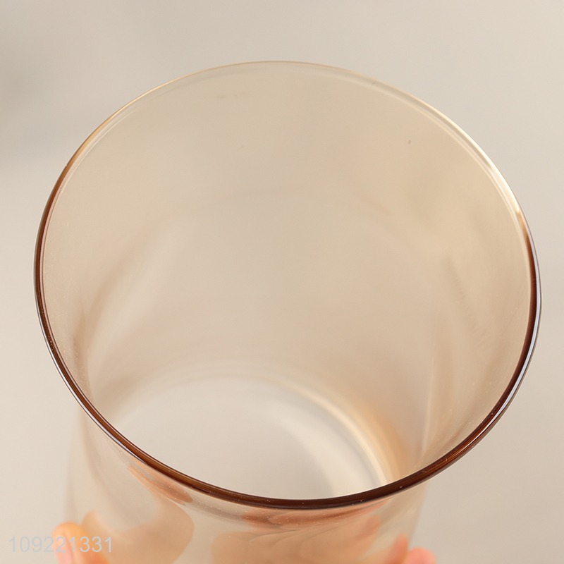 Popular products glass flower vase hydroponic vase indoor home decor vase