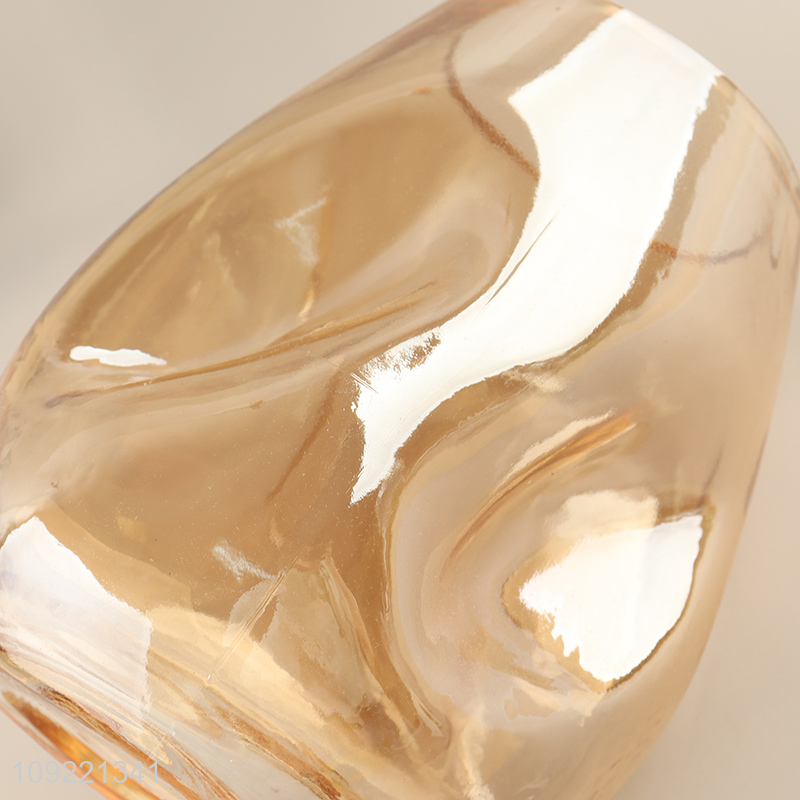 Top quality modern style home indoor decor glass flower vase hydroponic vase