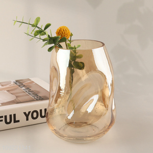Top quality modern style home indoor decor glass flower vase hydroponic vase