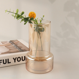 Low price home indoor decor desktop glass flower vase hydroponic vase