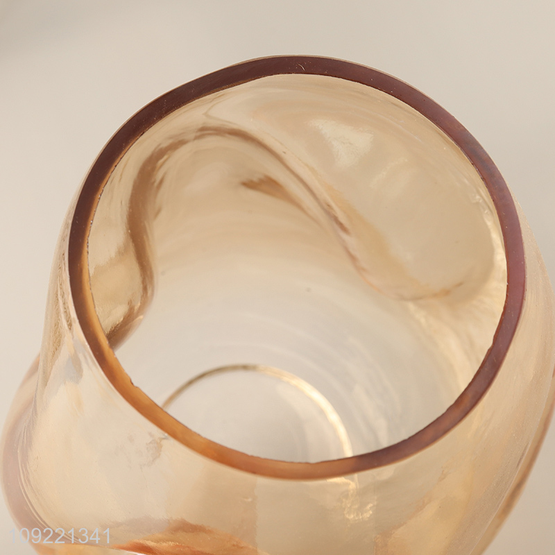 Top quality modern style home indoor decor glass flower vase hydroponic vase