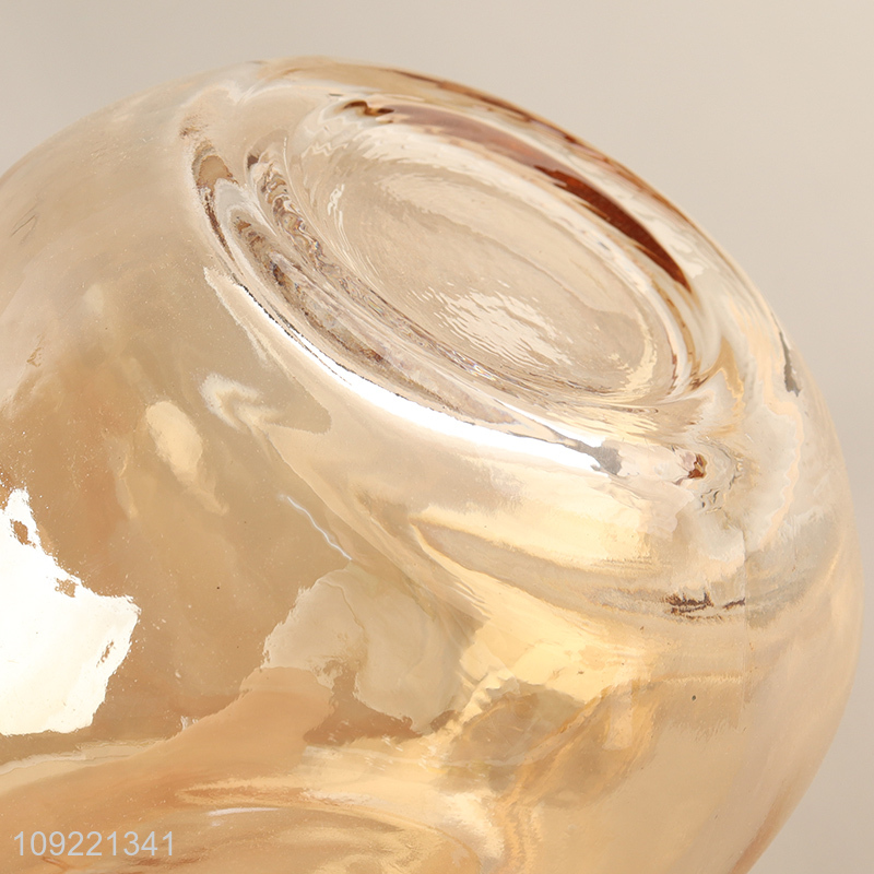 Top quality modern style home indoor decor glass flower vase hydroponic vase