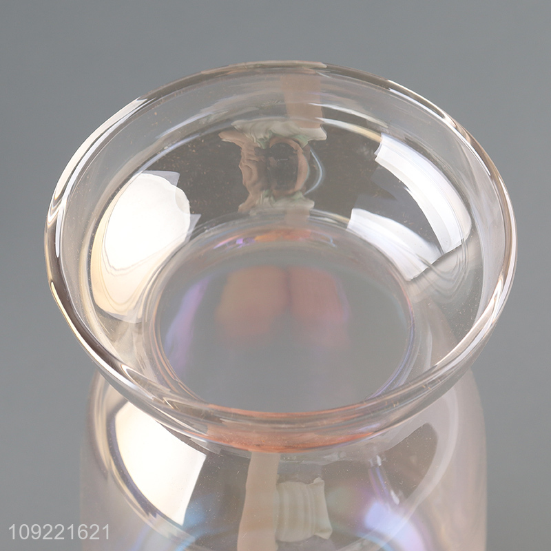 Low price glass tabletop decor flower vase hydroponic vase bud vase