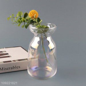 Low price glass tabletop decor flower vase hydroponic vase bud vase