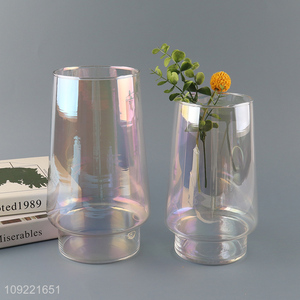 China supplier glass flower vase hydroponic vase bud vase for home indoor decor
