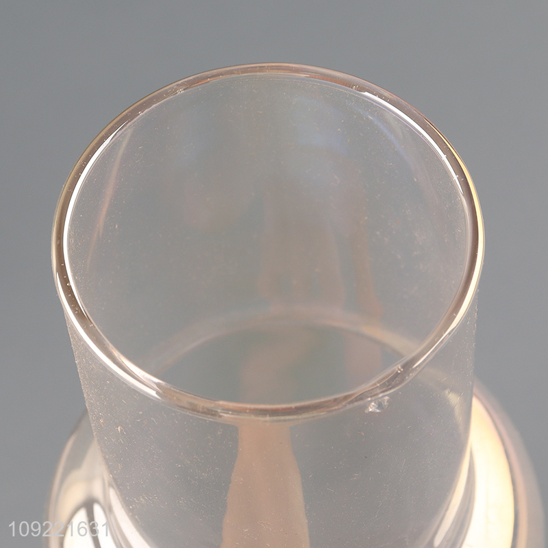 Top selling glass living room decor flower vase hydroponic vase bud vase