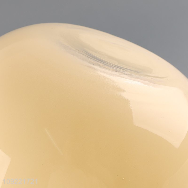 Top quality modern style flower vase hydroponic vase bud vase for tabletop