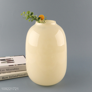 Top quality modern style flower vase hydroponic vase bud vase for tabletop