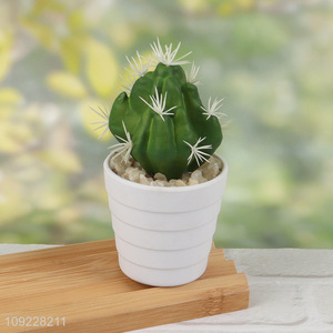 Factory Supply Fake Cactus Plants Artitificial Potted Plants for Shelf Decor