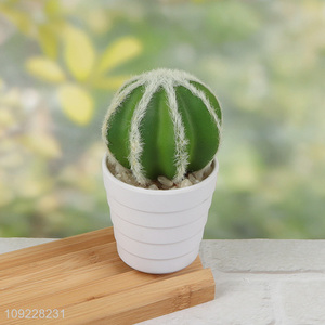 New Product Fake Cactus Plants Artitificial Potted Plants for Garden Decor