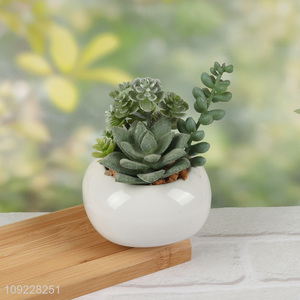China Imports Fake Succulent Plants Artificial Potted Plants for Bathroom Decor