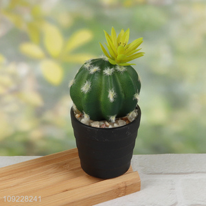 Factory Price Artificial Cactus Plants Fake Potted Plants for Home Decor