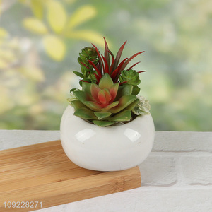 High Quality Artitificial Succulent Potted Plants for Home Office Table Decor
